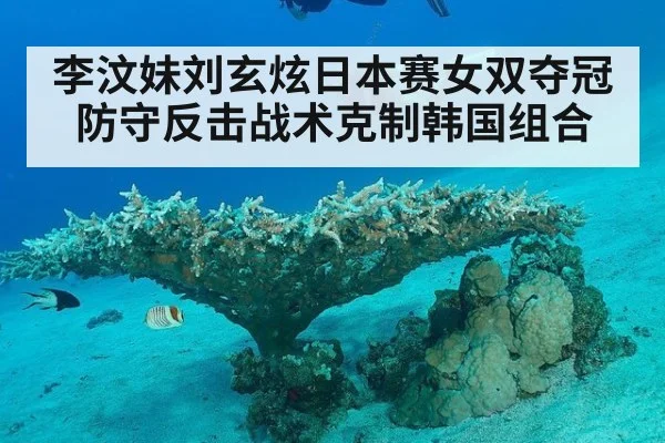 李汶妹刘玄炫日本赛女双夺冠 防守反击战术克制韩国组合